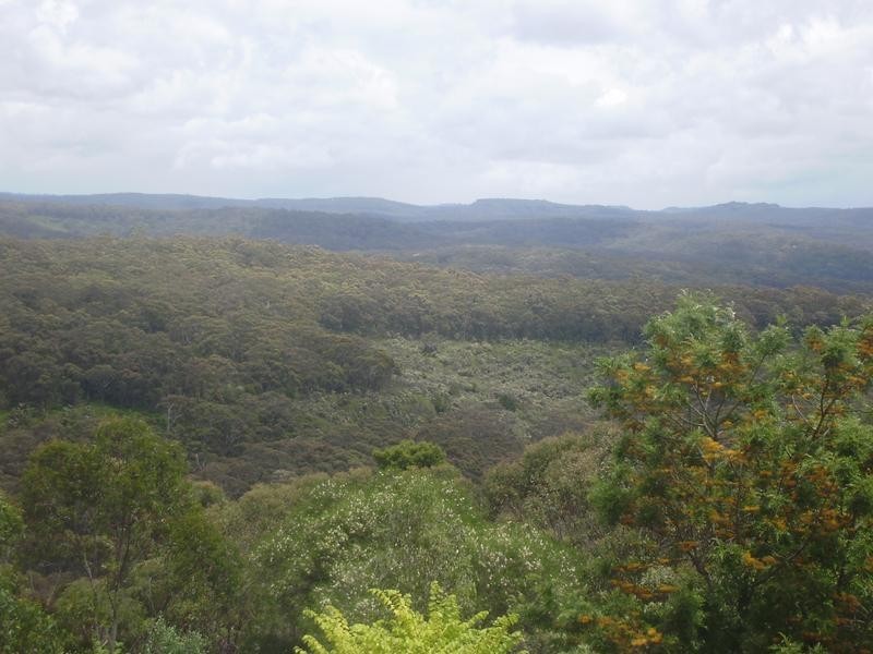 43 Kangaroo Street, Lawson NSW 2783