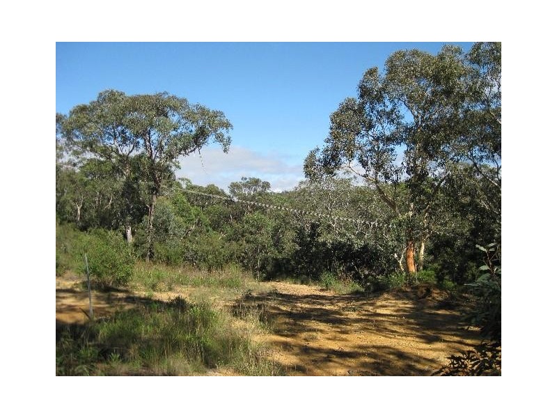 21 Essex Street, Lawson NSW 2783