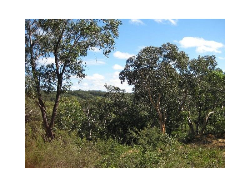 21 Essex Street, Lawson NSW 2783