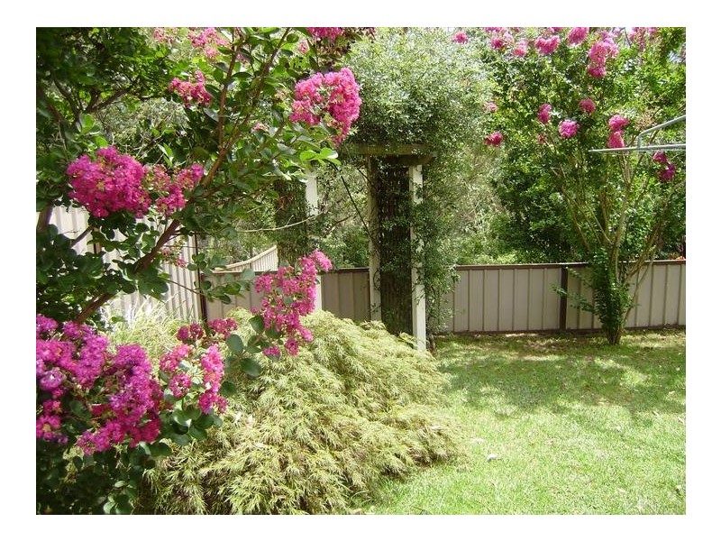 76 Mountview Avenue, Hazelbrook NSW 2779