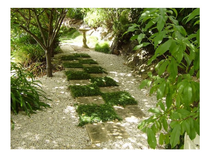 17 Kingfisher Road, Bullaburra NSW 2784