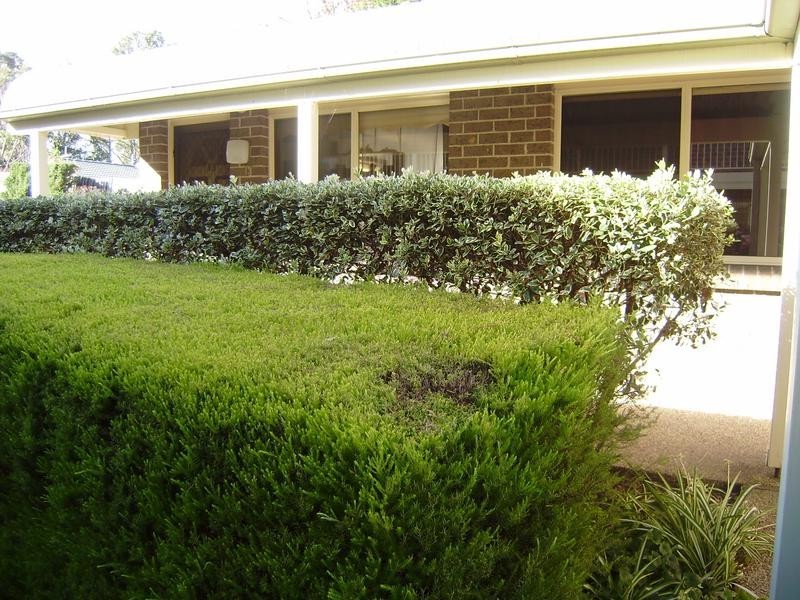 13/20-22 Honour Avenue, Lawson NSW 2783