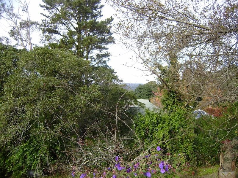 49 Railway Parade, Hazelbrook NSW 2779