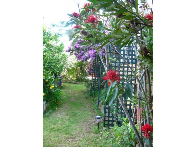 20 Ridge Street, Lawson NSW 2783