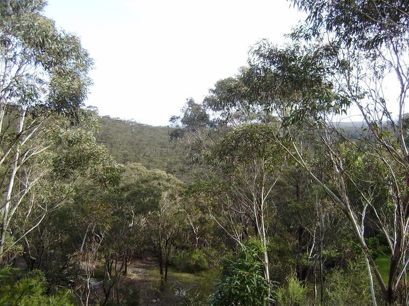 17 Forbes Street, Hazelbrook NSW 2779