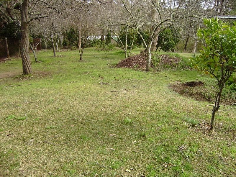 34 Lee Street, Lawson NSW 2783