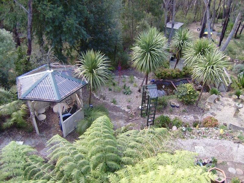 58 Boronia Road, Bullaburra NSW 2784