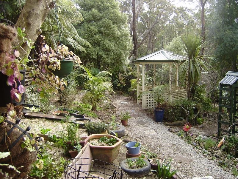 58 Boronia Road, Bullaburra NSW 2784