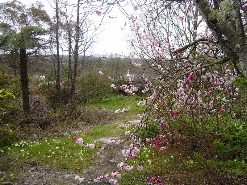 76 Railway Parade, Woodford NSW 2778