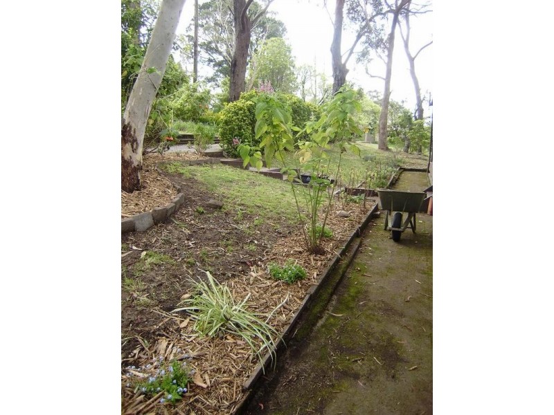 14 Hay Street, Lawson NSW 2783