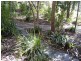 49 Pimelea Drive, Woodford NSW 2778