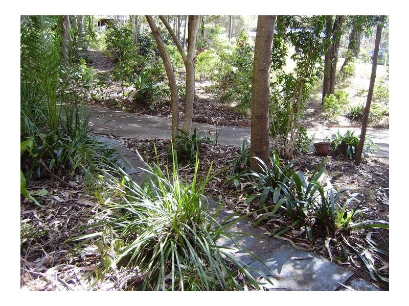 49 Pimelea Drive, Woodford NSW 2778