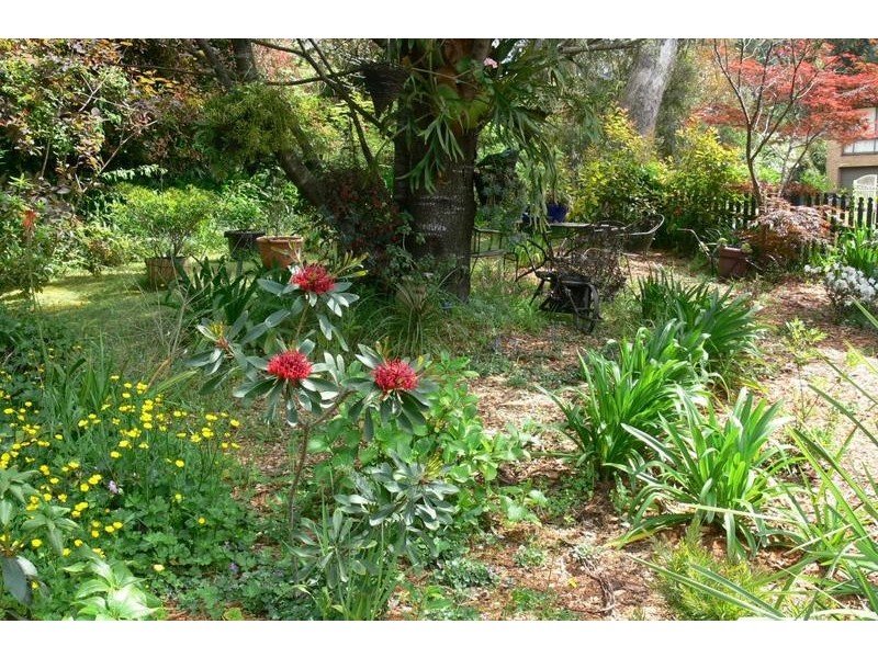 3 De Quency Road, Bullaburra NSW 2784