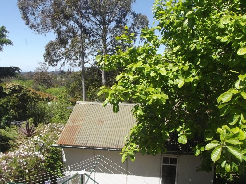 11 Winbourne Road, Hazelbrook NSW 2779