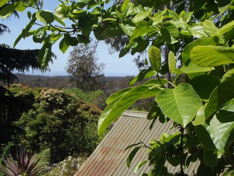 11 Winbourne Road, Hazelbrook NSW 2779