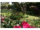 15 Clearview Parade, Hazelbrook NSW 2779
