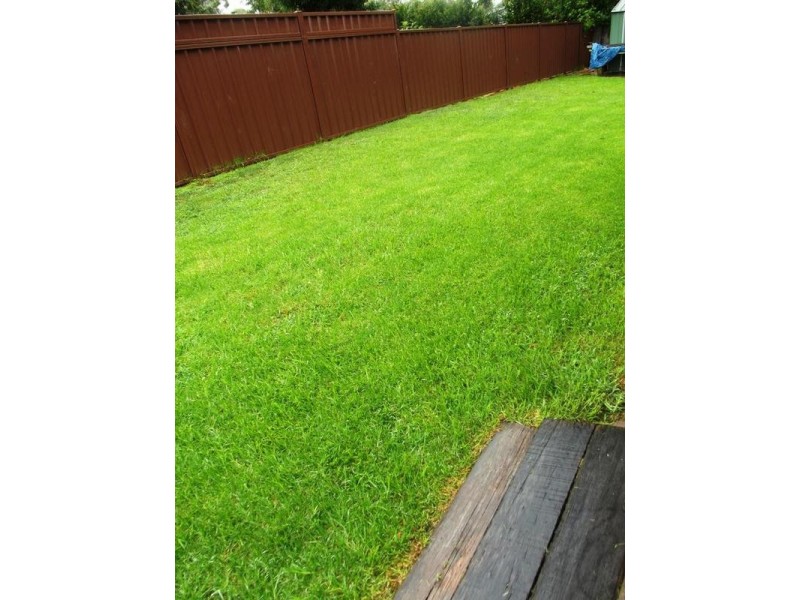 57 Red Gum Avenue, Hazelbrook NSW 2779