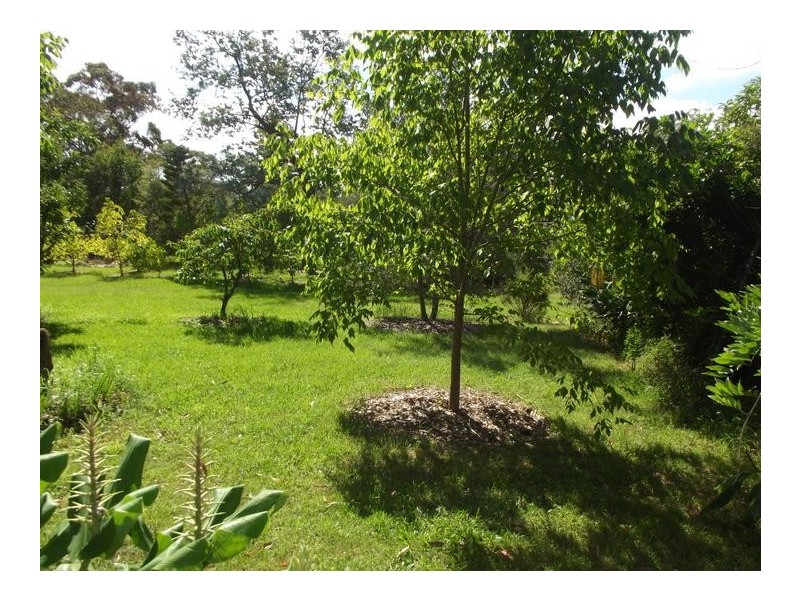 77 Glossop Street, Linden NSW 2778