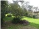 2 Poplar Grove, Lawson NSW 2783