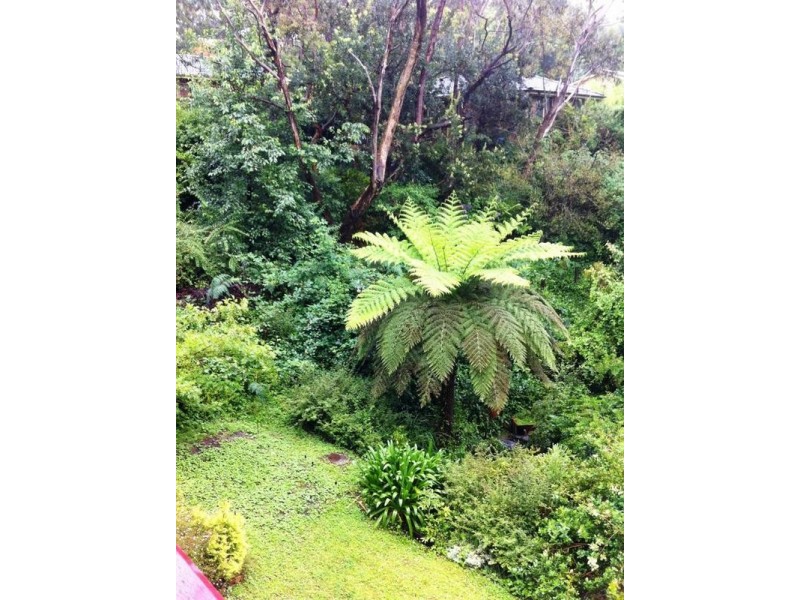 4 Bullaburra Road, Bullaburra NSW 2784