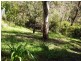 4 Liggins Road, Hazelbrook NSW 2779