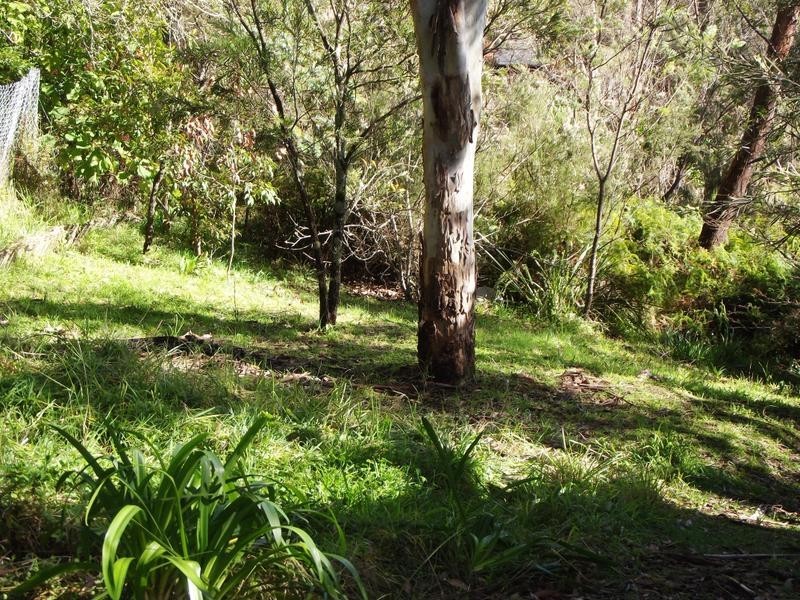 4 Liggins Road, Hazelbrook NSW 2779