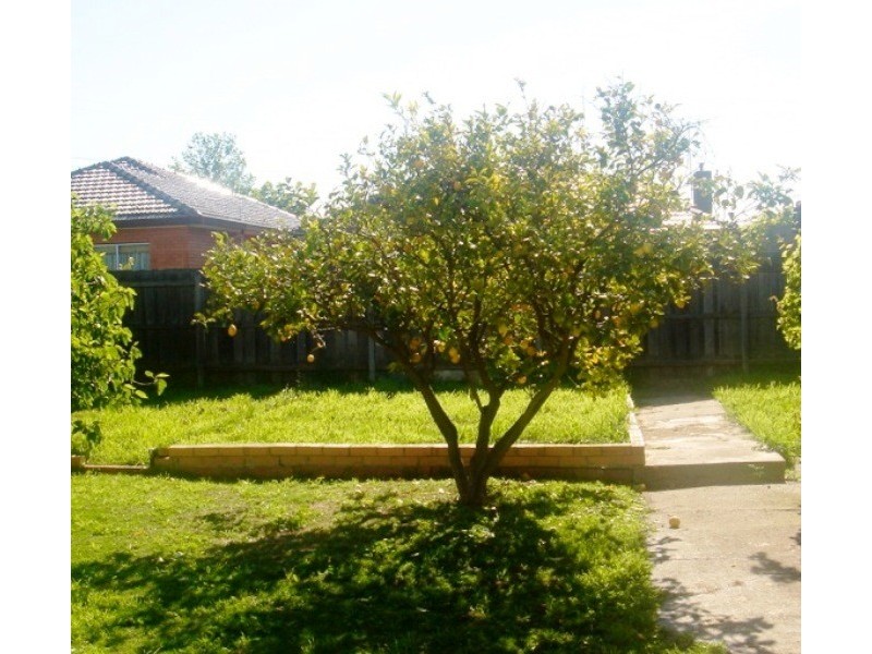 11 Shelley Street, Keilor East VIC 3033