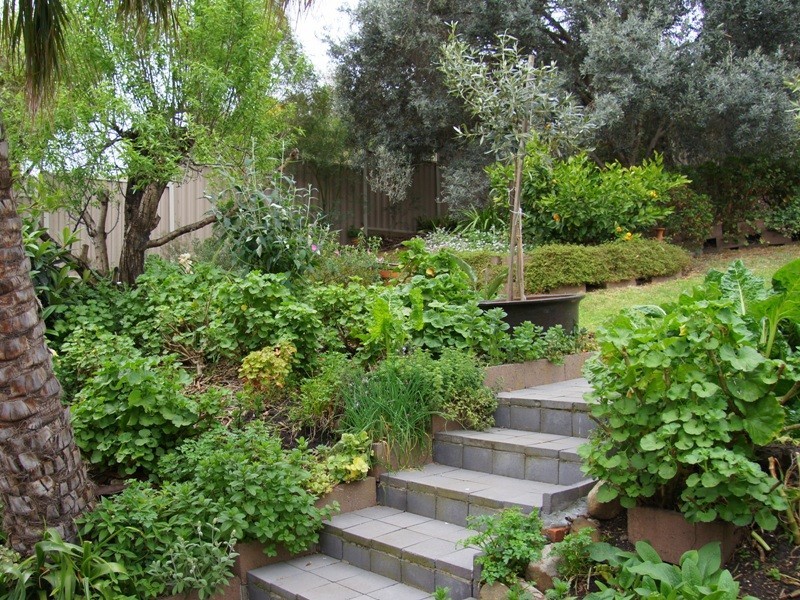 24 Surrey Drive, Keilor East VIC 3033