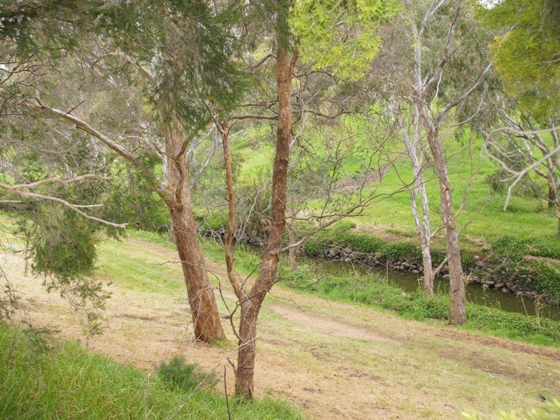 2/41 Arthur Street, Coburg VIC 3058