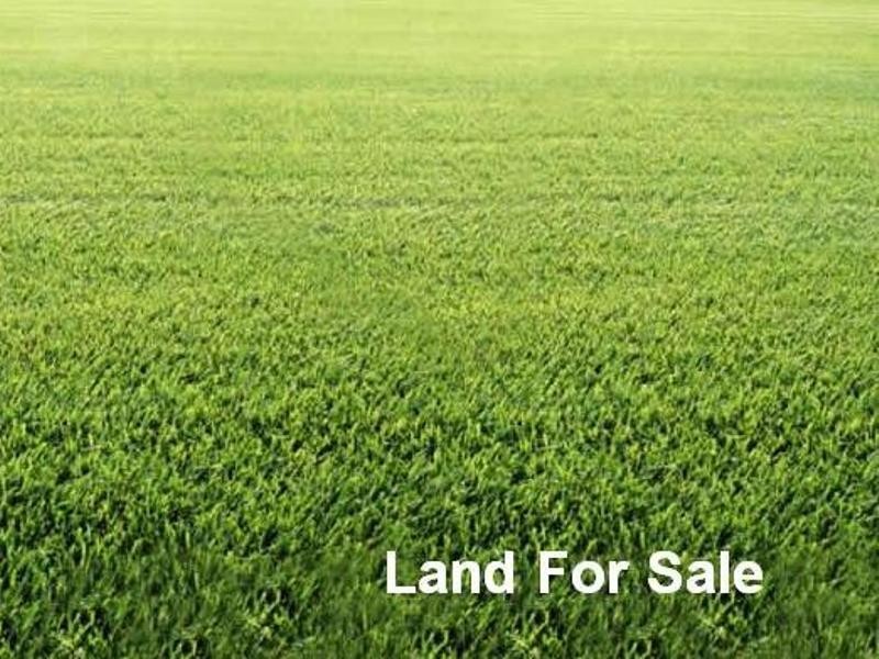 13 Craigielea Avenue, St Albans VIC 3021