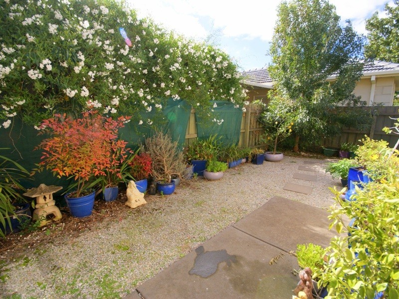 14 Collings Court, Pascoe Vale VIC 3044