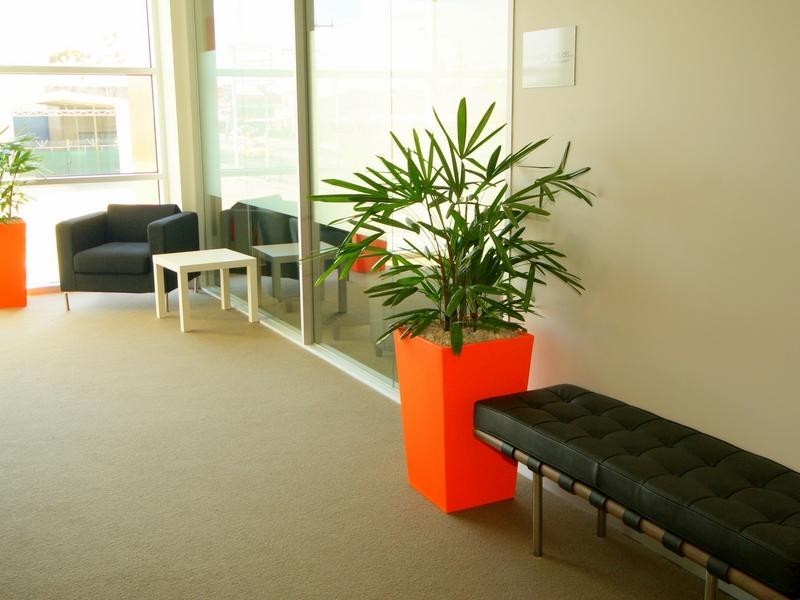 17B/80-82 Keilor Road, Essendon VIC 3040
