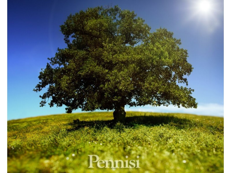 136 Arundel Road, Keilor VIC 3036