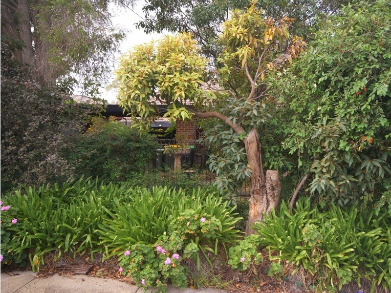 12 Craig Street, Keilor East VIC 3033