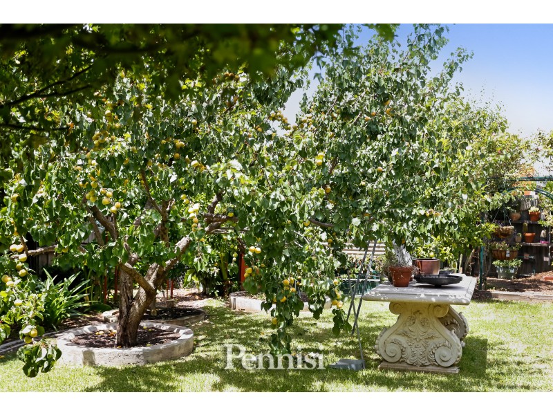 9 Russelton Street, Keilor Park VIC 3042