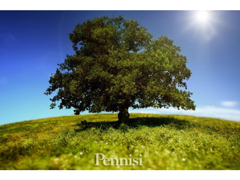 24 Primula Boulevard, Gowanbrae VIC 3043