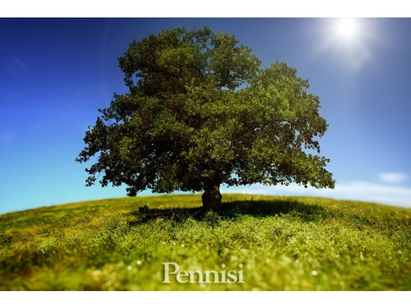 Rear 200 Keilor Road, Essendon North VIC 3041