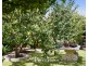 9 Russelton Street,, Keilor Park VIC 3042