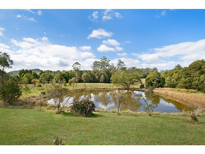1061 Dooralong Road, Dooralong NSW 2259