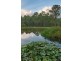 2 Amberwood Close, Jilliby NSW 2259