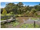 31 Burlington Avenue, Jilliby NSW 2259