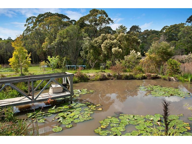 31 Burlington Avenue, Jilliby NSW 2259