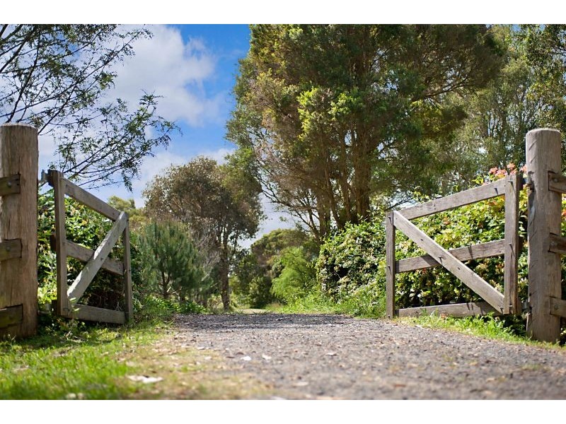 170 Yarramalong Road, Wyong Creek NSW 2259