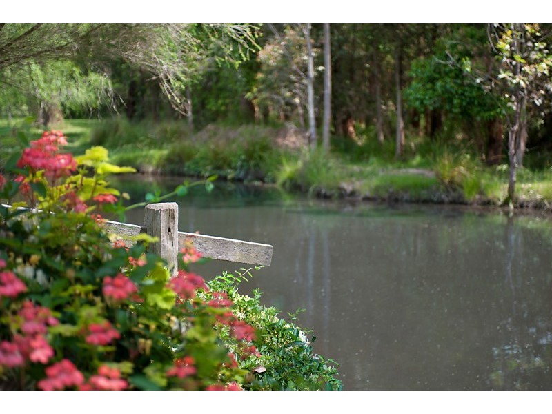 170 Yarramalong Road, Wyong Creek NSW 2259