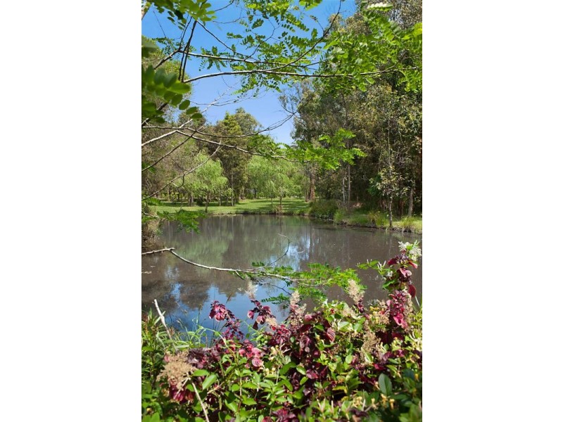 170 Yarramalong Road, Wyong Creek NSW 2259