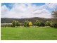 403 Yarramalong Road, Wyong Creek NSW 2259