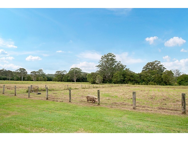 825 Jilliby Road, Jilliby NSW 2259