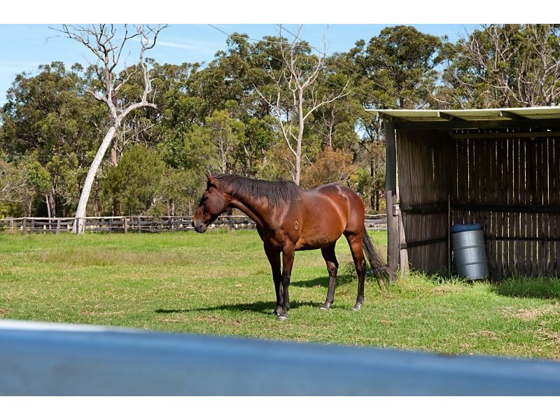 350 Bruce Crescent, Wallarah NSW 2259