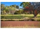 5 Amberwood Close, Jilliby NSW 2259