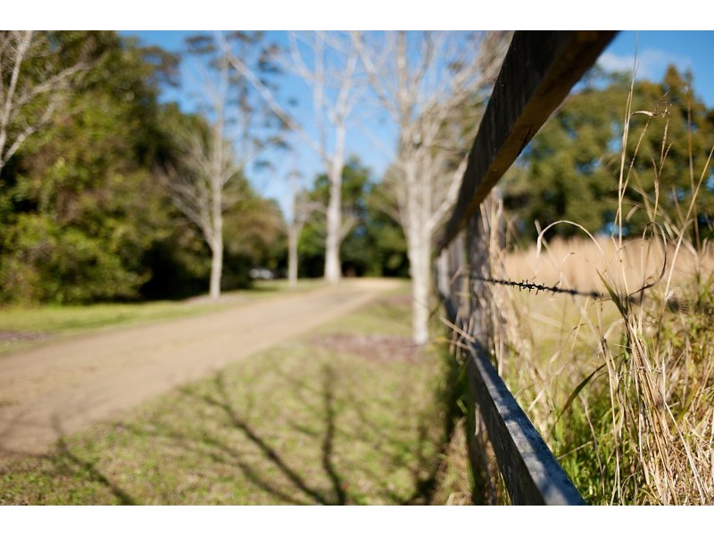 15 Shirley Street, Ourimbah NSW 2258